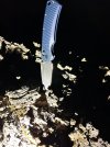 IMG_4619.jpeg