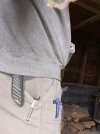 IMG_0566.jpeg