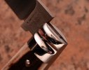 khampton-400CnFstagslimlambfoot-3.jpg