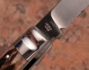 khampton-400CnFstagslimlambfoot-4.jpg