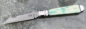 IMG_8153.jpeg