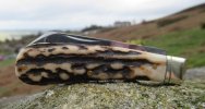AC Lambsfoot 24-6.JPG