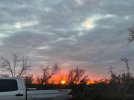 IMG_9367.jpeg