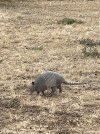 IMG_9365.jpeg