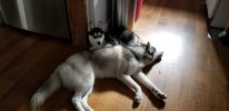 20180904_083710.jpg