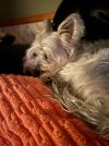 IMG_2530.jpeg
