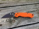 PM1.jpg