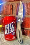 IMG_9941.jpeg