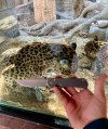 IMG_6964.jpeg