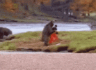 IMG_7092.gif