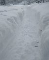 IMG_20241213_133357779~3.jpg