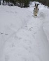 IMG_20241217_123400967~2.jpg