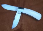 Ray Cover Ivory post.JPG