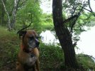 ImageUploadedByTapatalk1401044740.067396.jpg