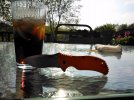 WP_001244.jpg