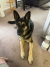 IMG_0701.jpeg