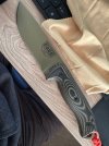 IMG_7054.jpeg