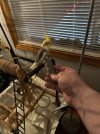 IMG_5097.jpeg