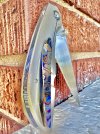 IMG_9977.jpeg