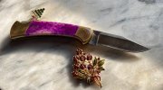 PurpleBuck112-5.JPG