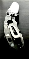 IMG_3125.jpeg