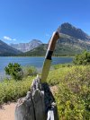 IMG_3098.jpeg