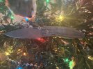 IMG_1773.jpeg
