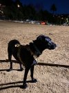 IMG_5595.jpeg