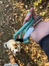 IMG_6296.jpeg