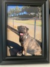 IMG_6287.jpeg