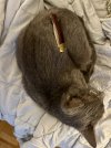 IMG_4365.jpeg