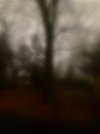 IMG_5711.jpeg