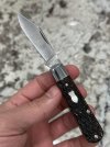 IMG_6326.jpeg