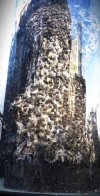 Nail tree.JPG Nail tree.JPG