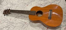 IMG_1429.jpeg