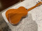 IMG_1427.jpeg
