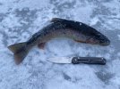 IMG_1264.jpeg