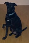 IMG_5623.jpeg
