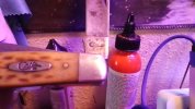 IMG_20241215_083355.jpg