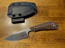 IMG_2918.jpeg
