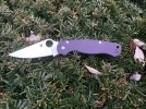 IMG_3655.jpeg