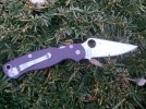 IMG_3656.jpeg
