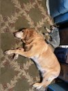 IMG_9662.jpeg