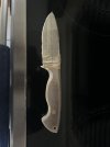 IMG_1253.jpeg