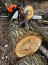 IMG_0195.jpeg