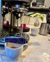 IMG_4545.jpeg