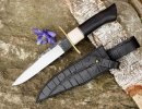 bb231sheath1.jpg bb231sheath1.jpg