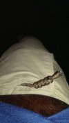 uploadfromtaptalk1401712988820.jpg