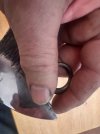 IMG_3021.jpeg