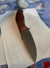 IMG_2324.jpeg